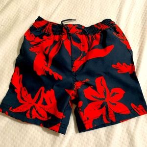 Tea Collection size 2 boys swim trunks
